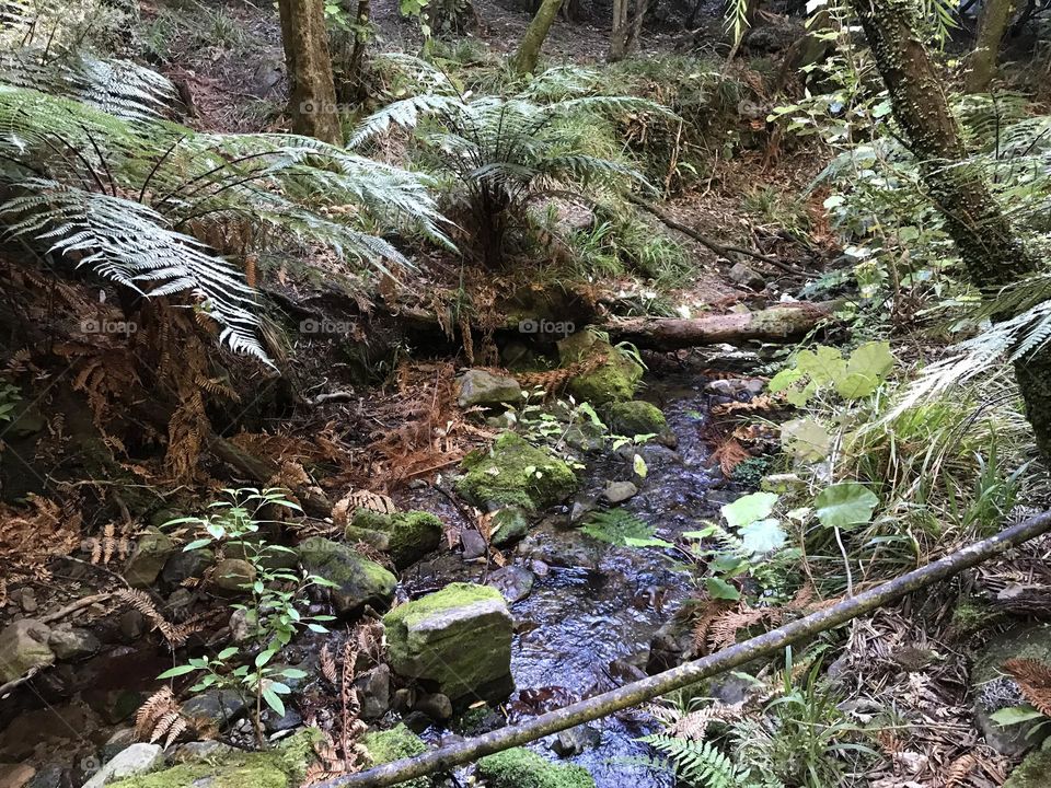 A mystifying stream with natural additions.