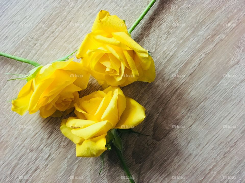 Yellow roses