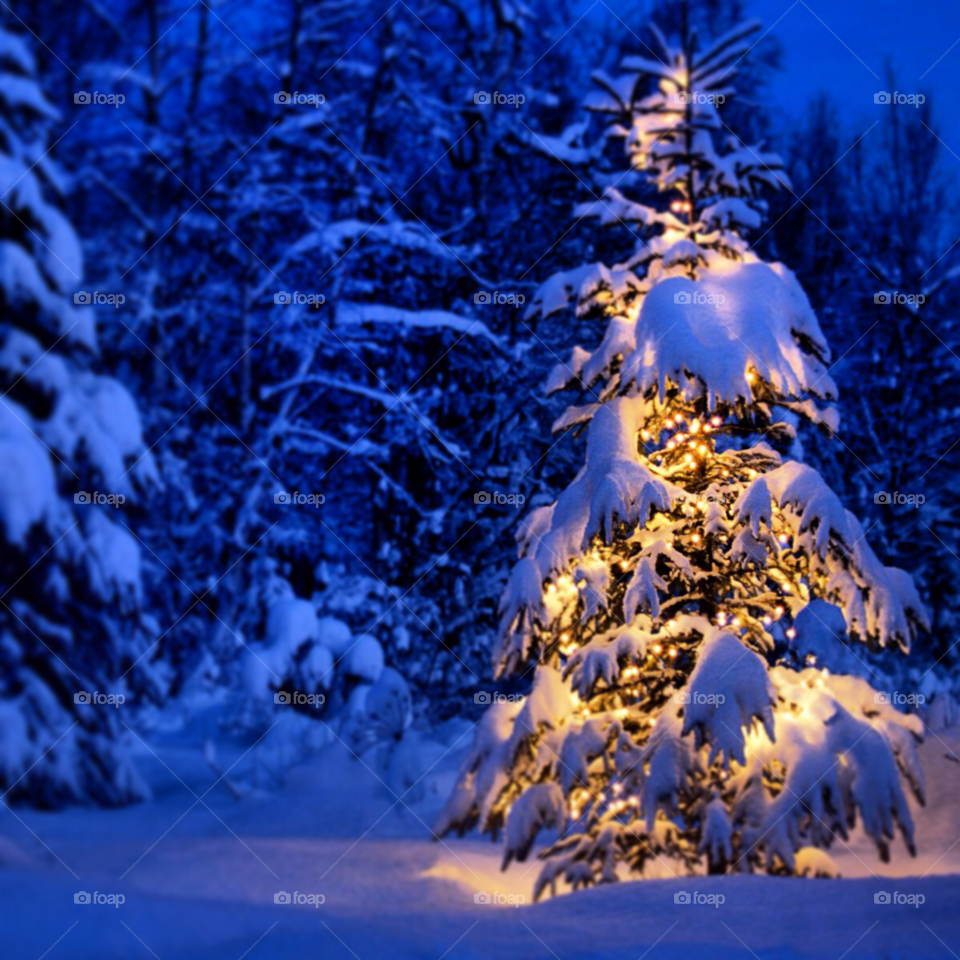 snow winter light yellow by IlInCuTa