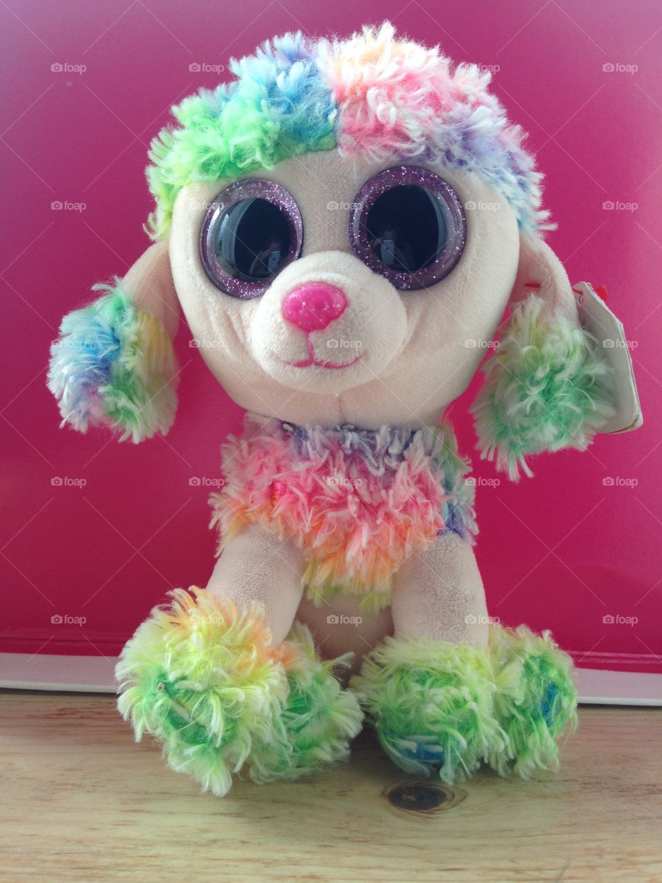 Rainbow poodle teddy 