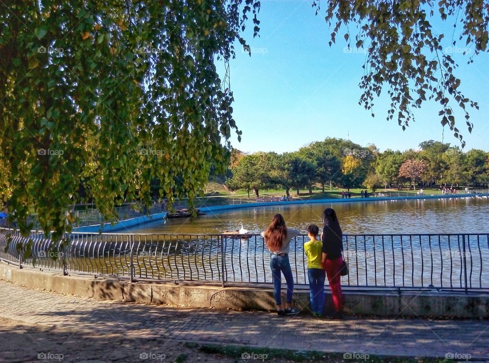 two girls and a boy at the lake look at the swan две девушки и мальчик у озёра смотрят на лебедя