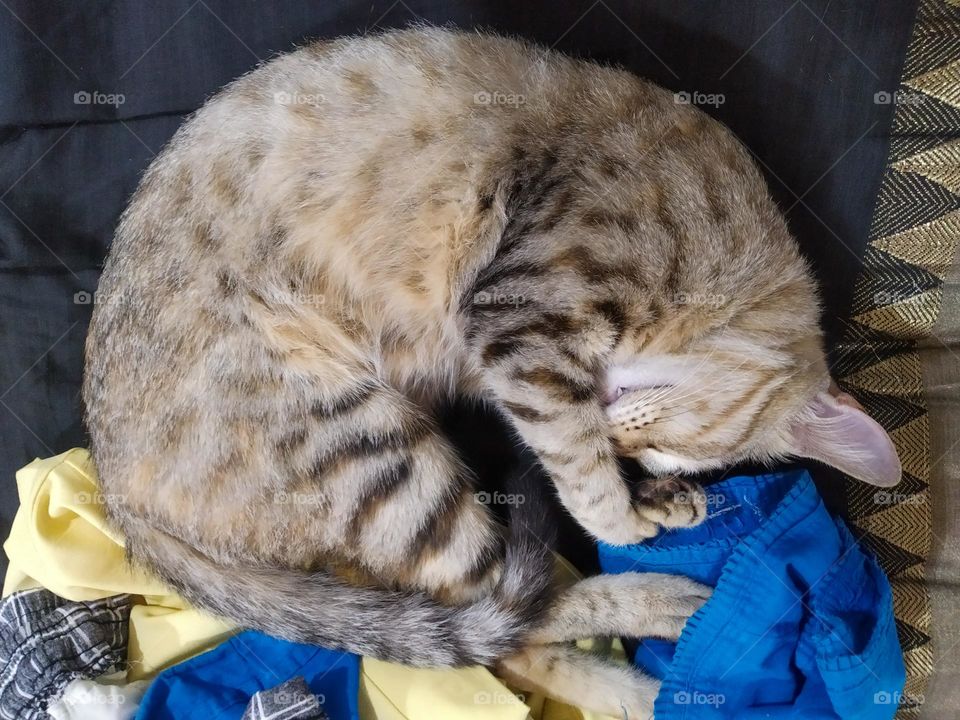 sleeping like me 😜 l love sleeping like this...