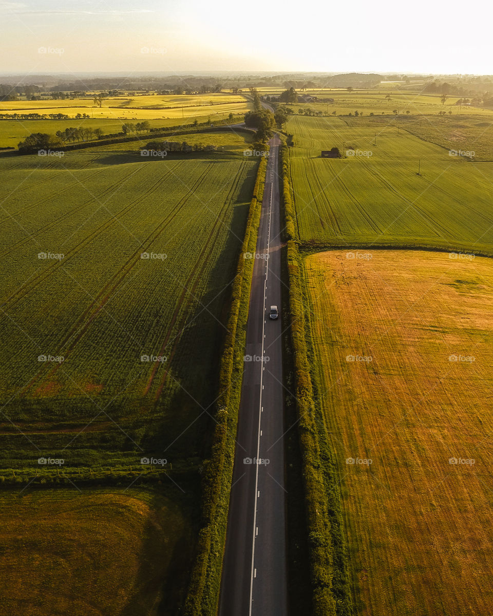 Long country road during golden hour, surrounded by open fields and farm land with warm sunlight illuminating the scene. 