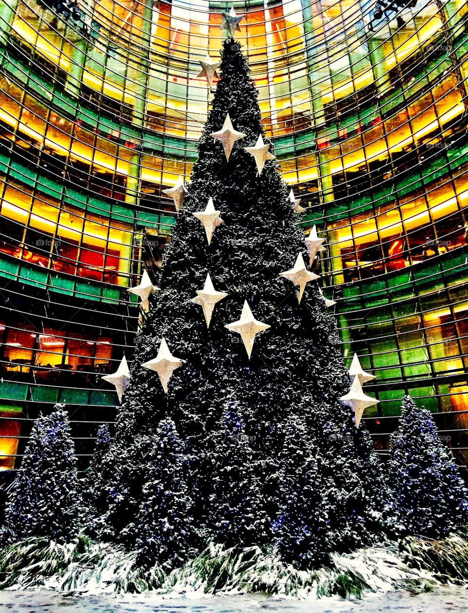 Christmas tree with stars