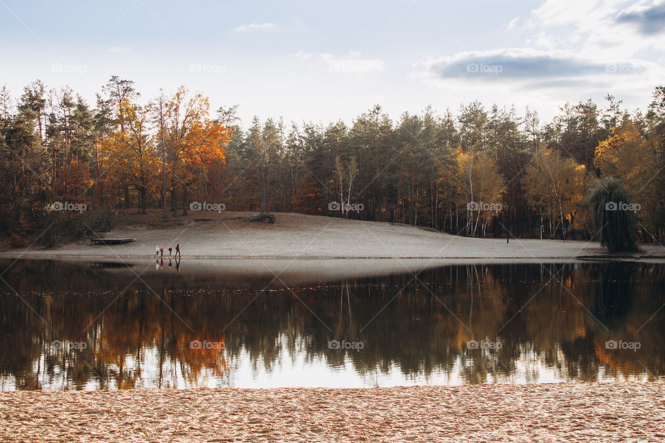 lake in the forest