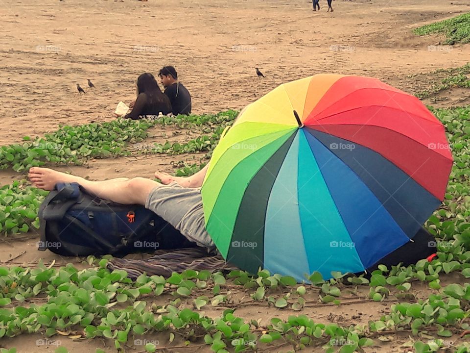 enjoy rest with nature on the beach plant full ground and umbrella