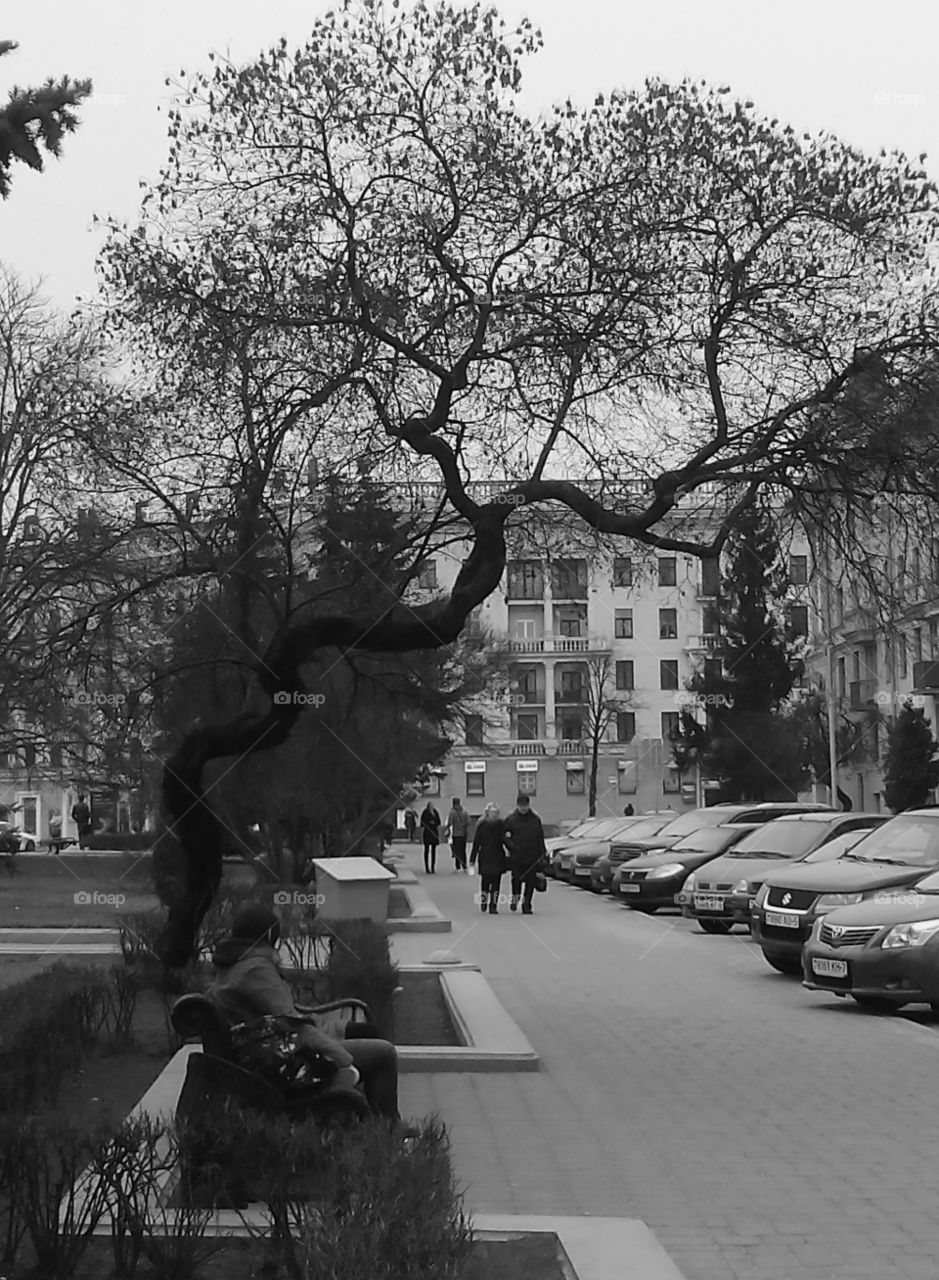 People, Group Together, Group, Street, Adult