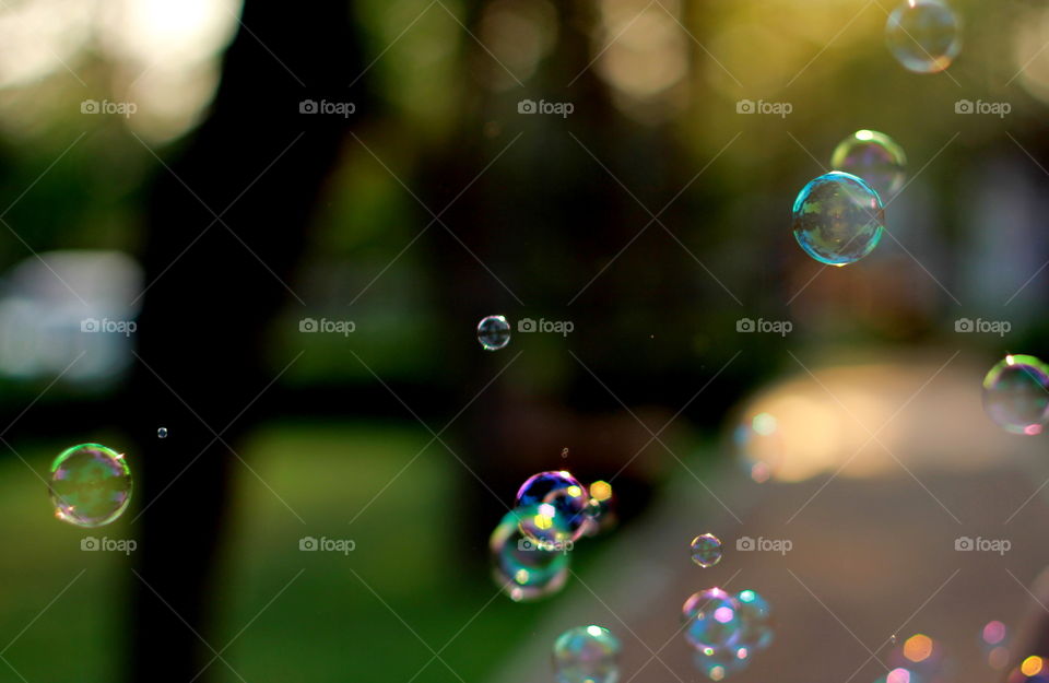 Bubble 
