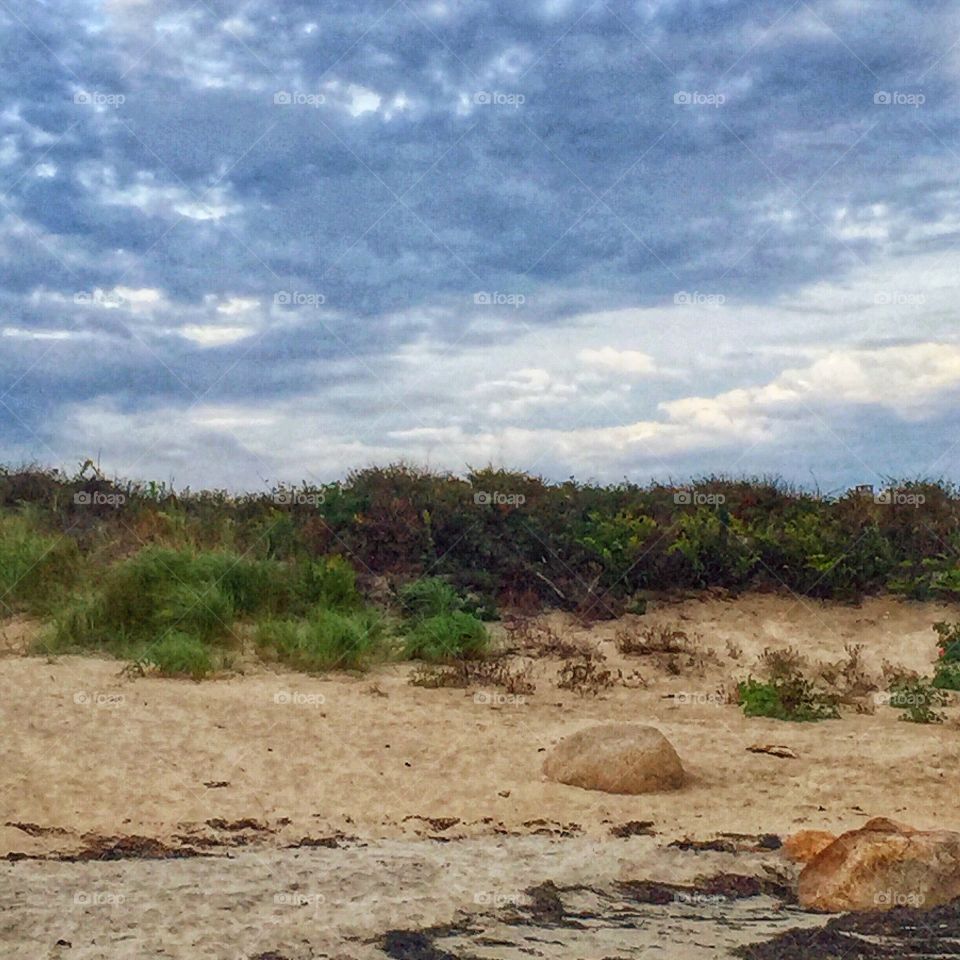 Rhode Island dunes
