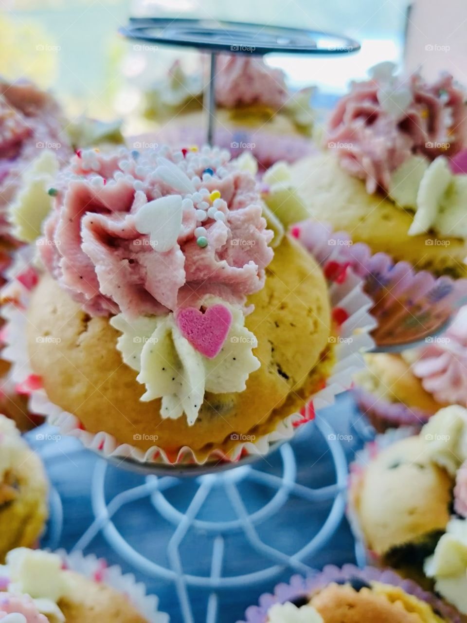 Cupcakes homemade for guests
