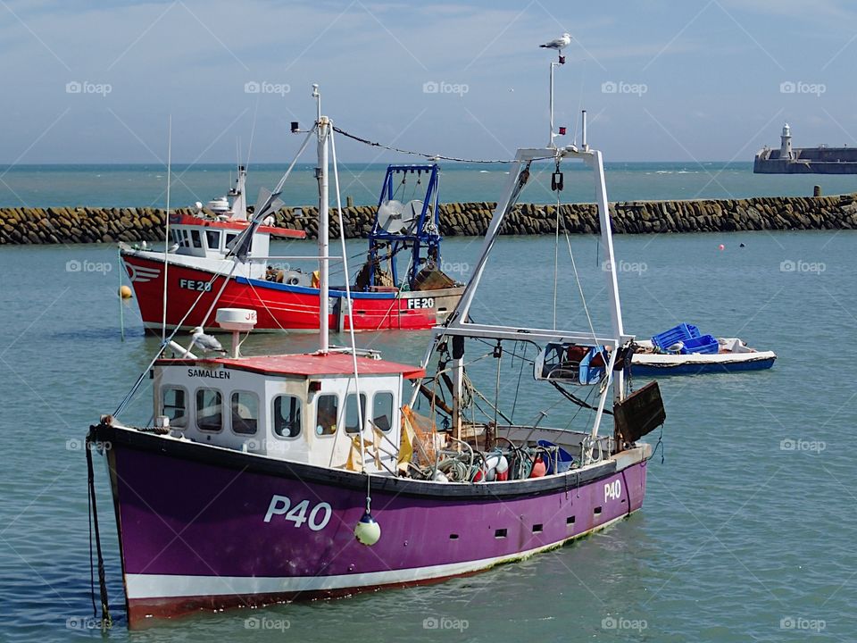 A bright purple fishing boat anchored in the harbor in Folkestone, England on a sunny summer day. 
