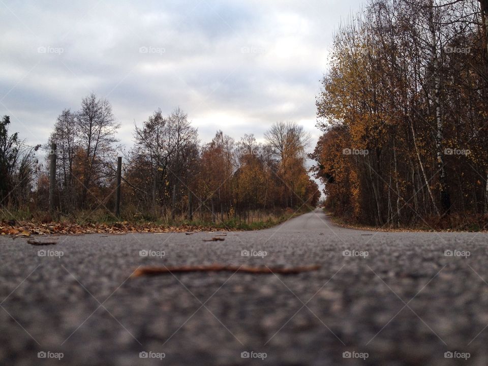 Empty road in autumn