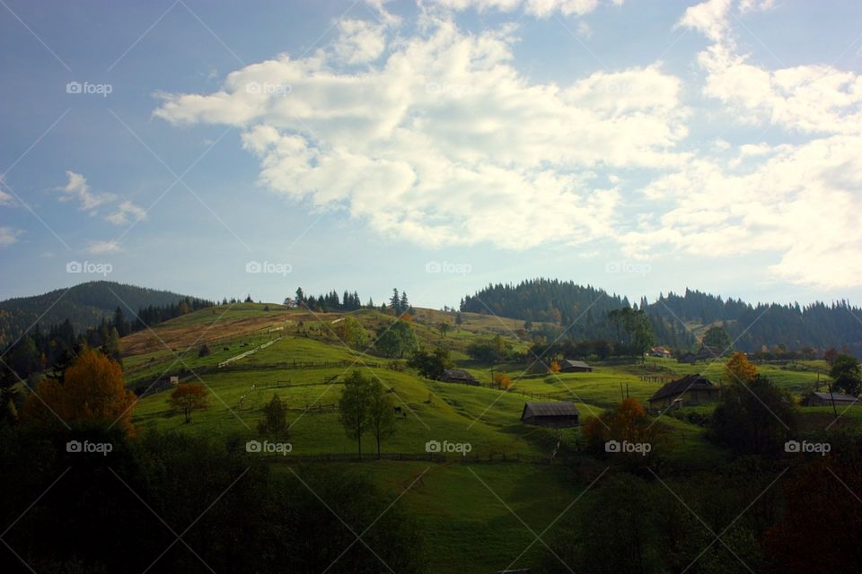 Landscape, Tree, No Person, Hill, Travel