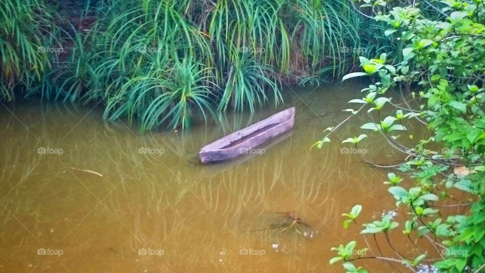 travelling with nature