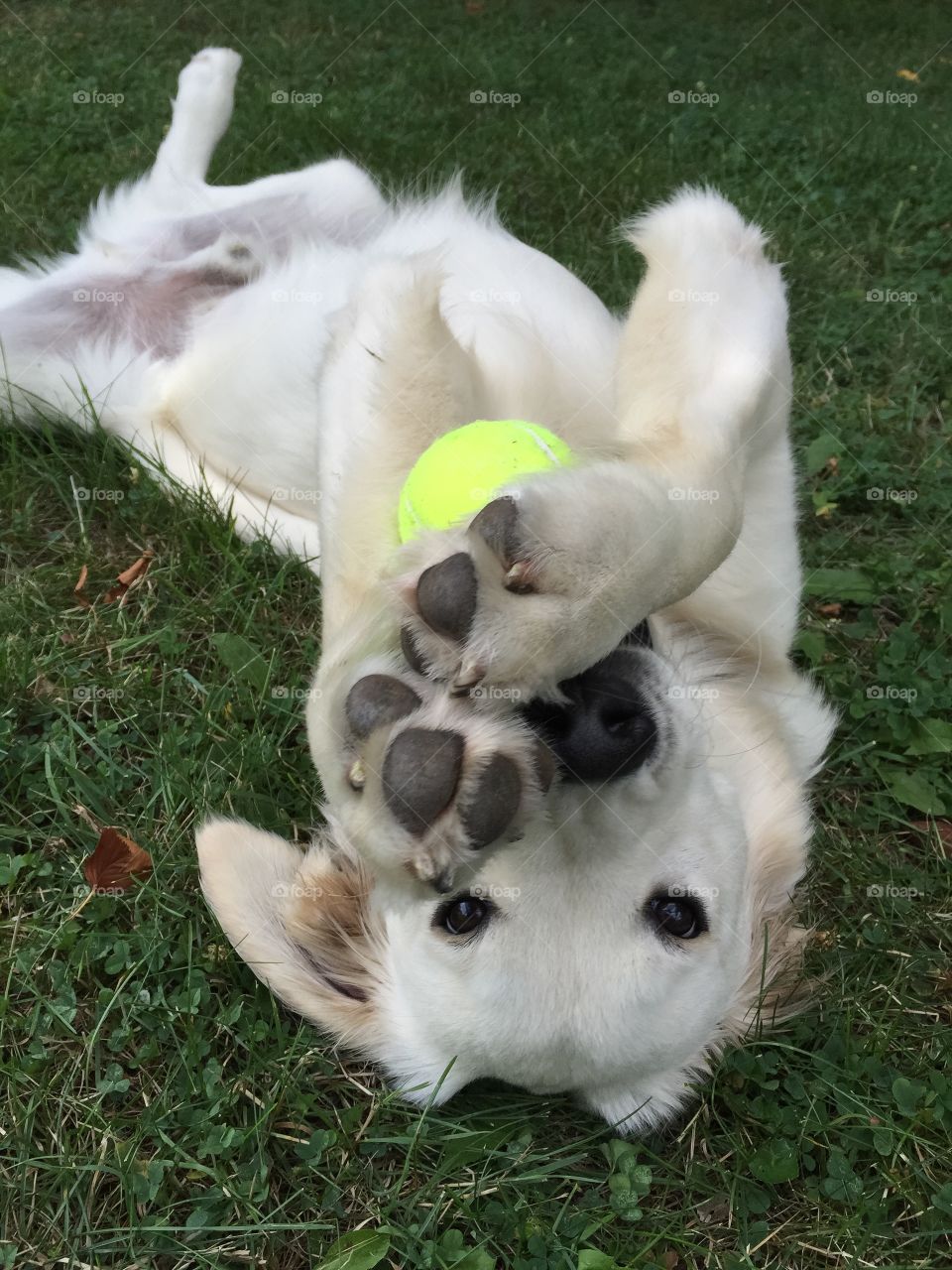 You know you wanna play ball!