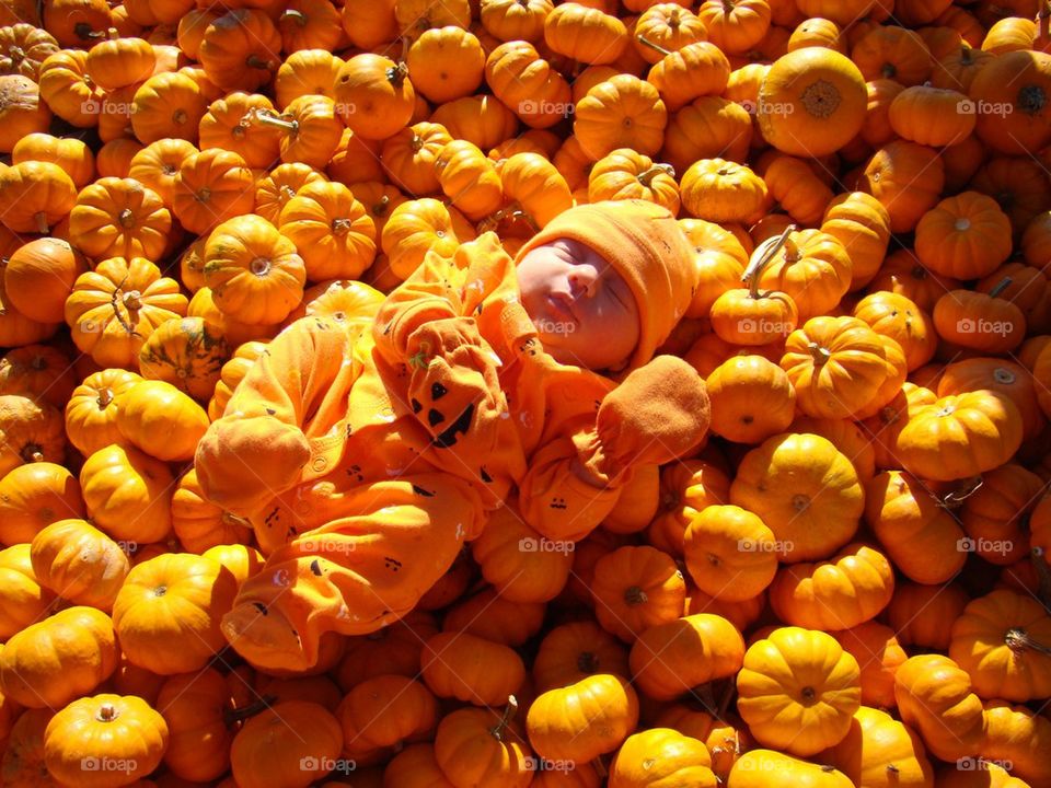 "Baby" pumpkins