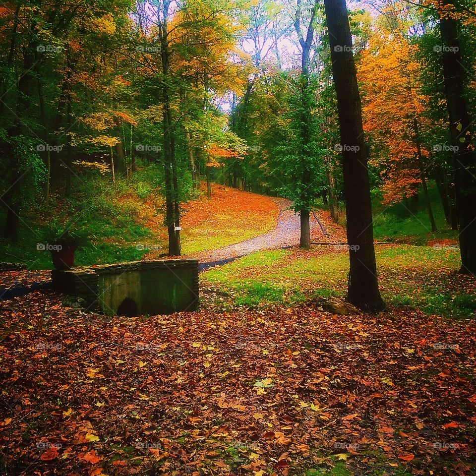 fall