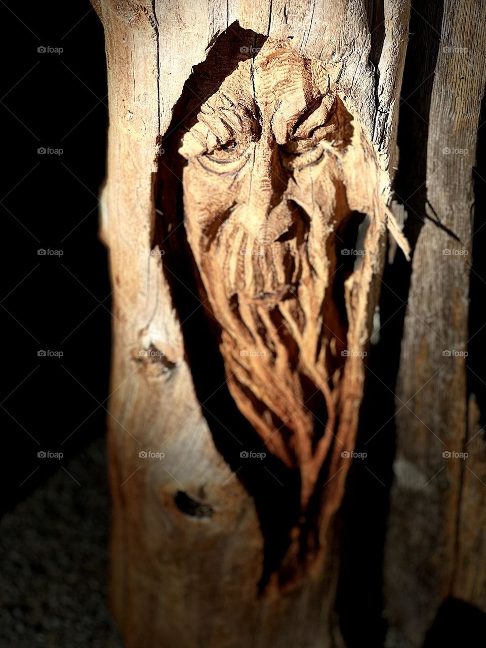 Wood Carving 