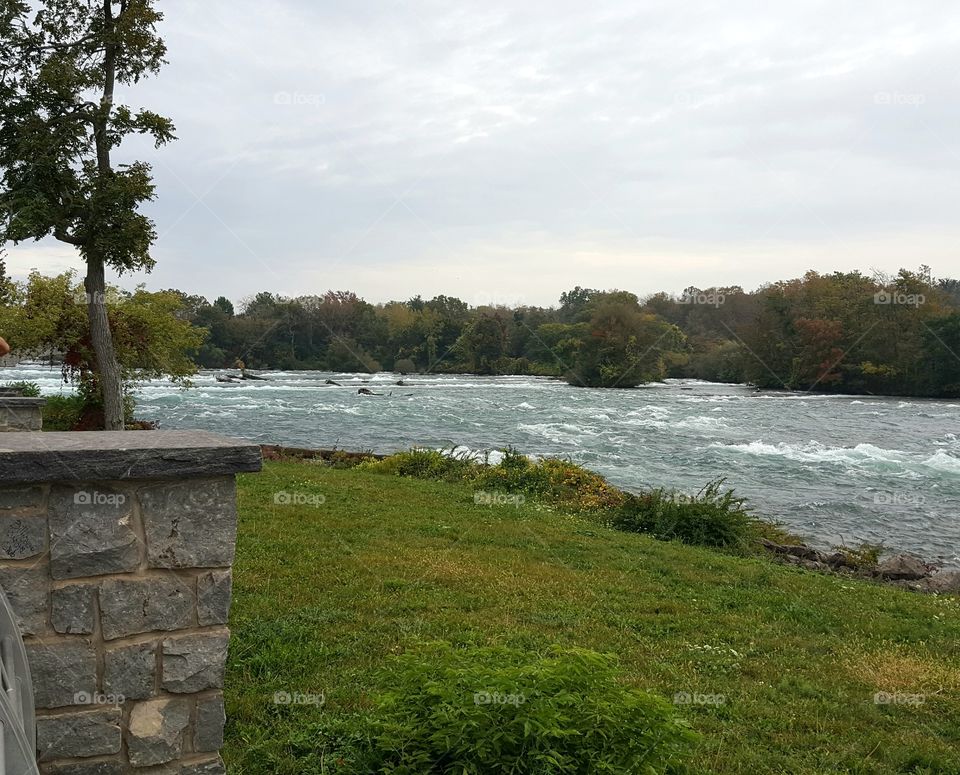 Niagara