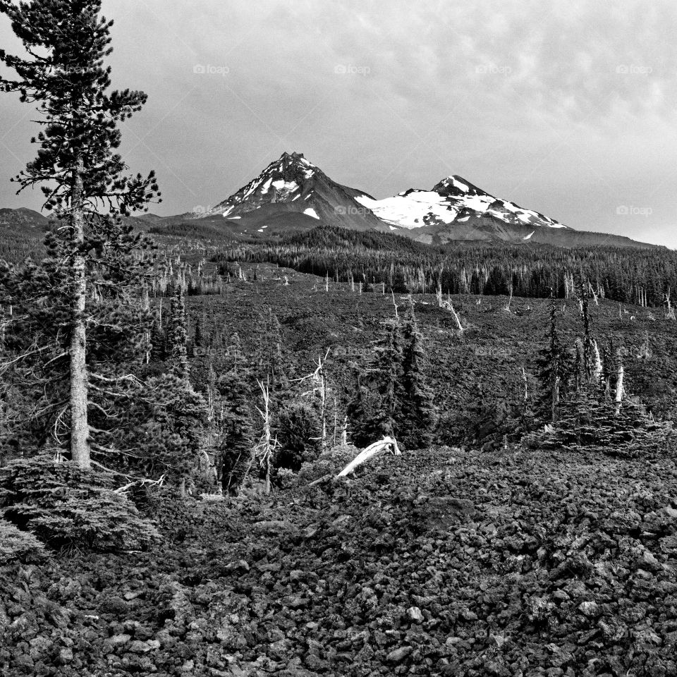 Two of the Three Sisters in Oregon's Cascade Mountains stand in the background of vast lava fields that have found a way to support the growth of a few trees and bushes. 