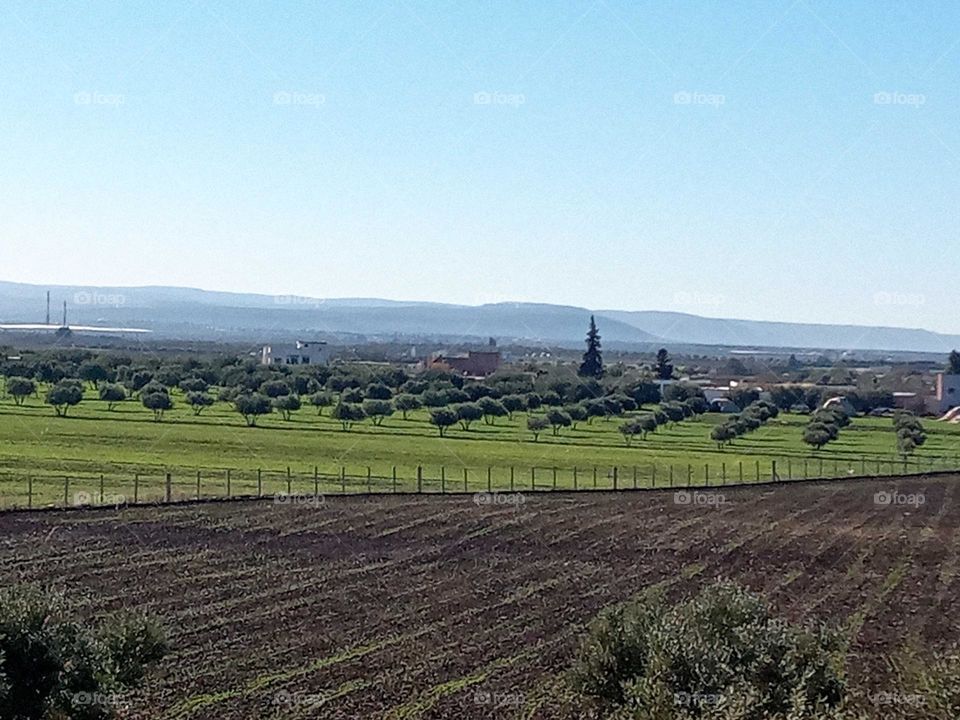 Agricultural lands
