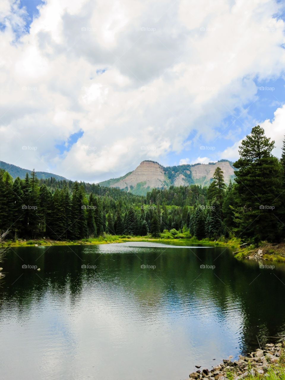 Lake reflection