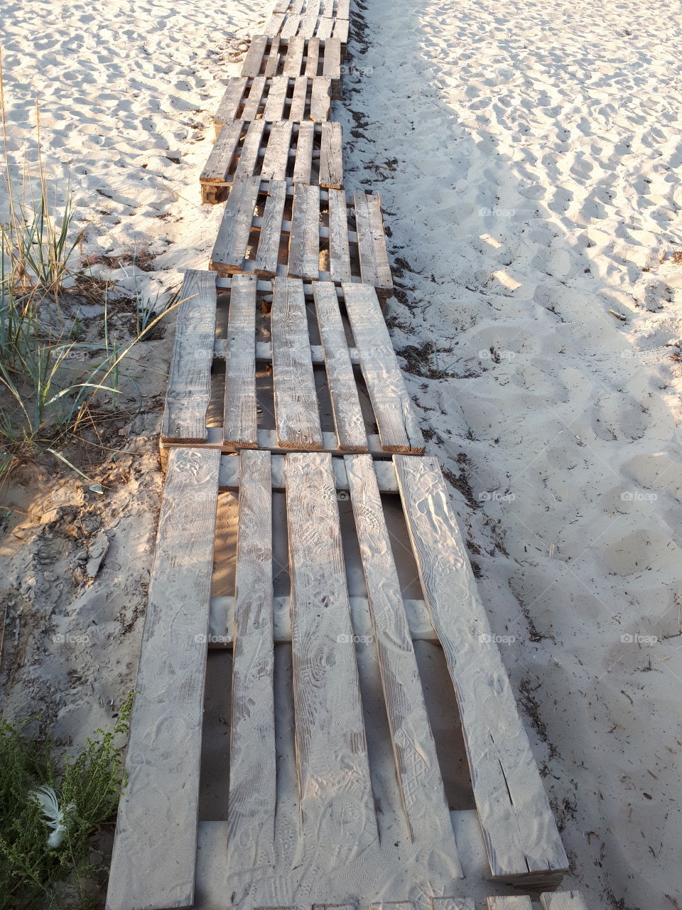 Wood road to the beach