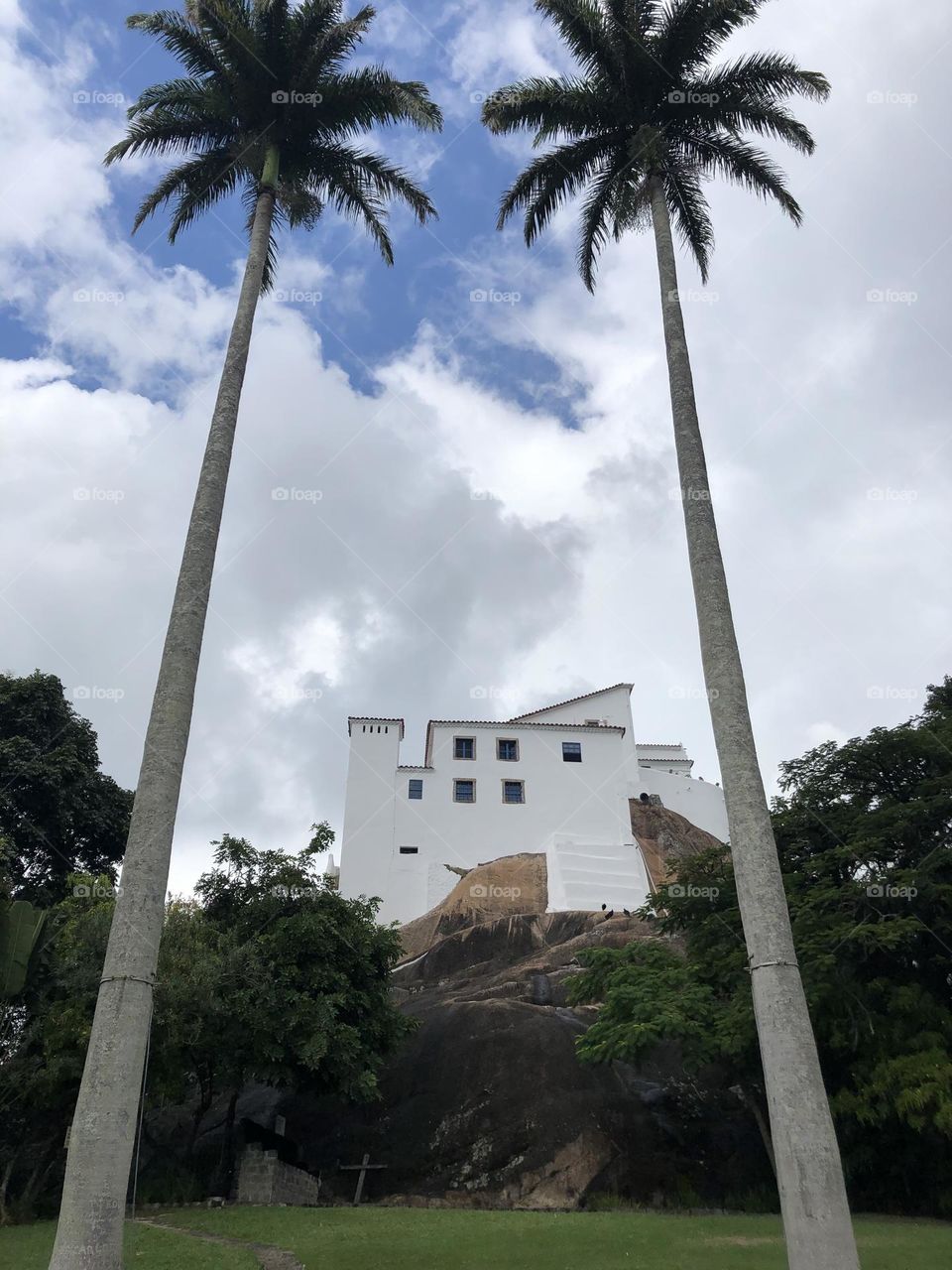 Ancient construction built over the rock framed by two palm trees