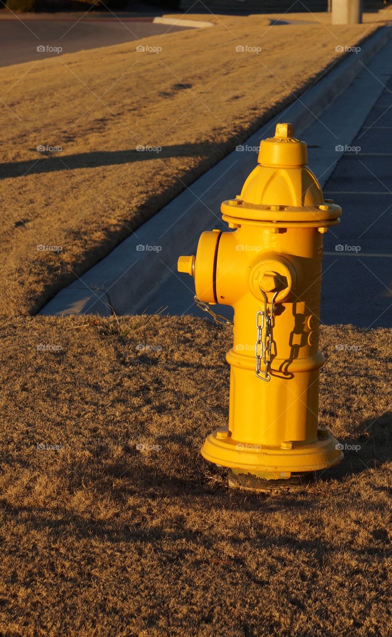 Yellow fire hydrant!. Are we running low on red paint!