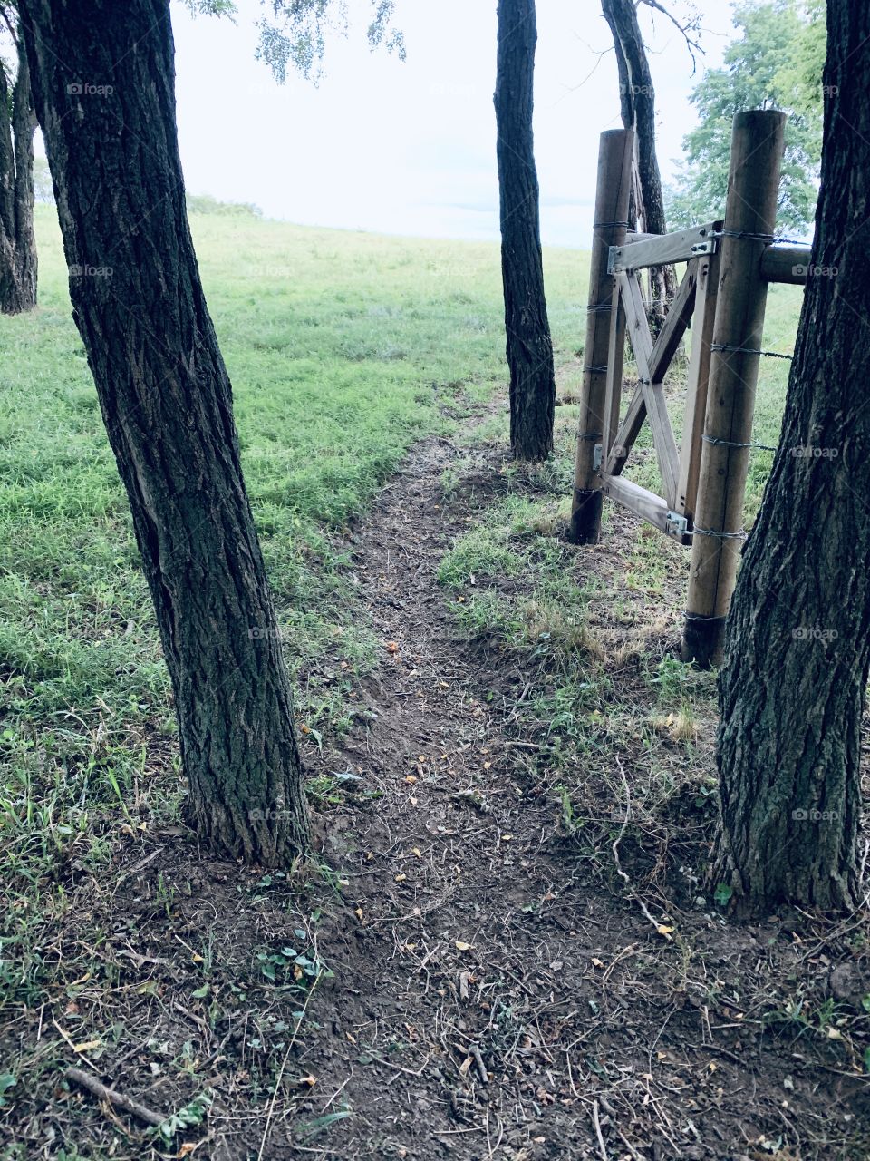 Worn dirt path between trees alongside a wooden gate in a rural area