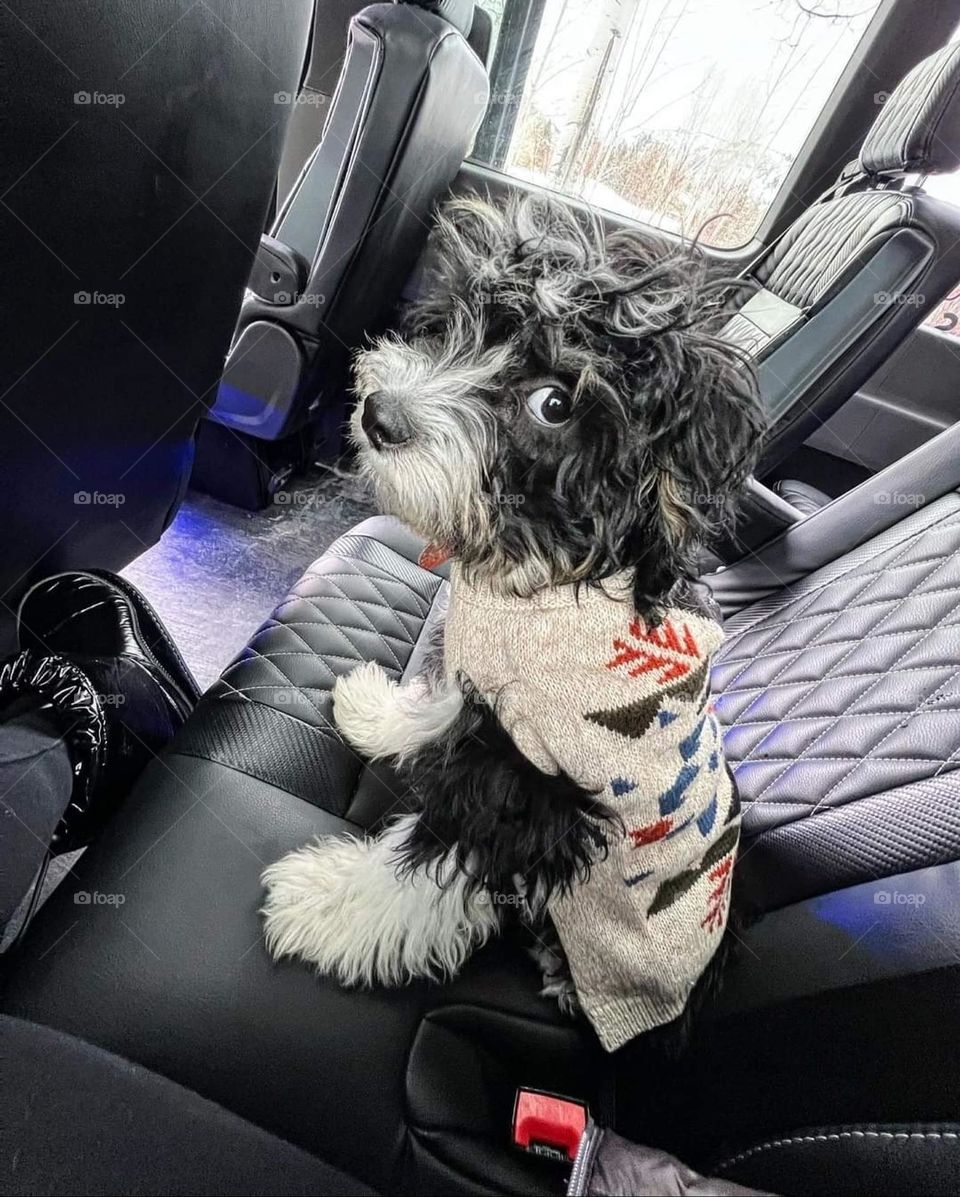 I know I have bedhead