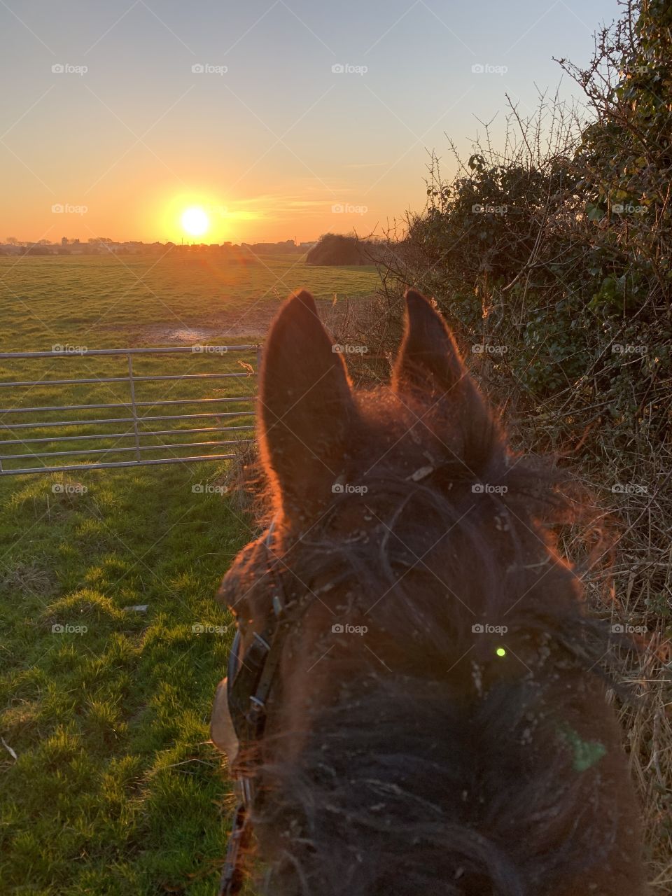 Sunset rides 