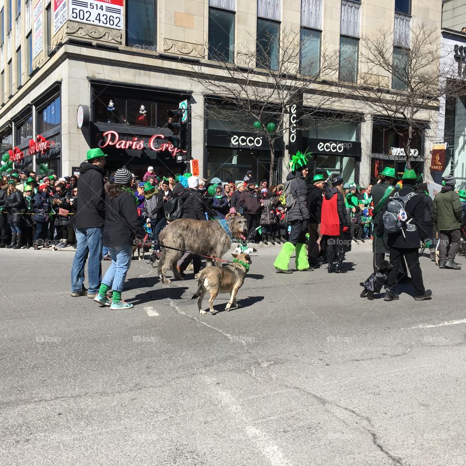 st-patrick day,  Montreal,  Canada