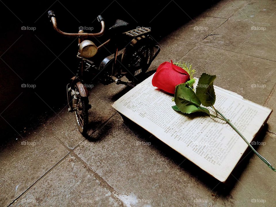 The meaning of love in a book