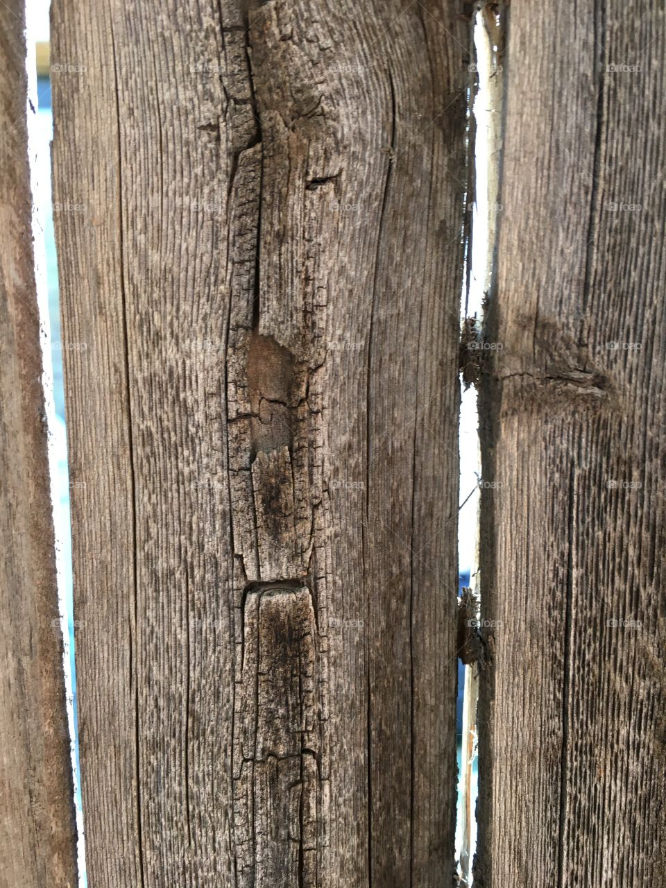 Dehydrated Fence
