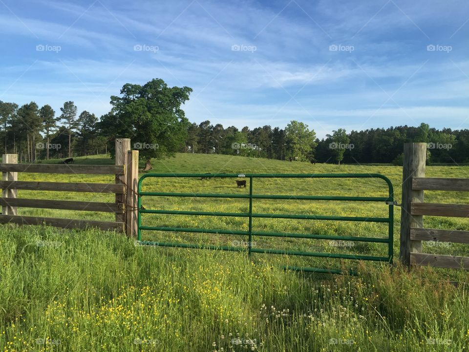Farm gate 