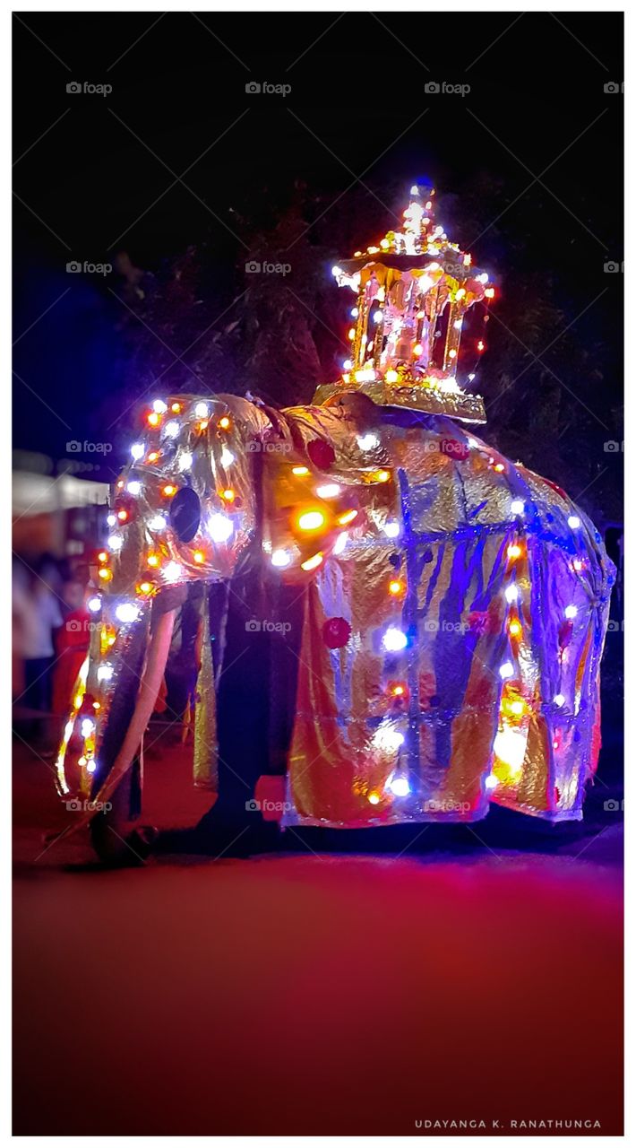 sinha raaja elephant