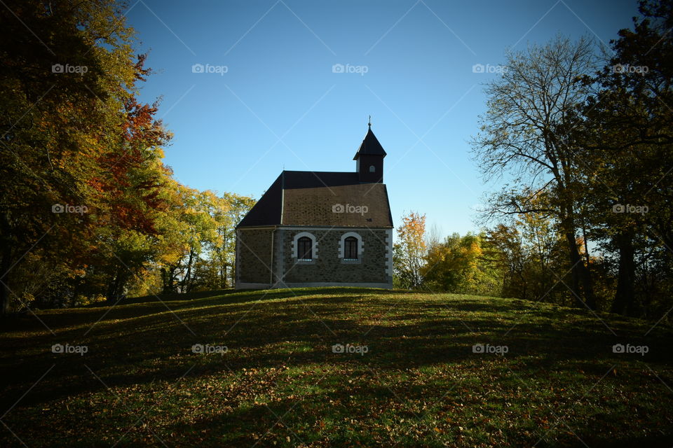 a church in the woods