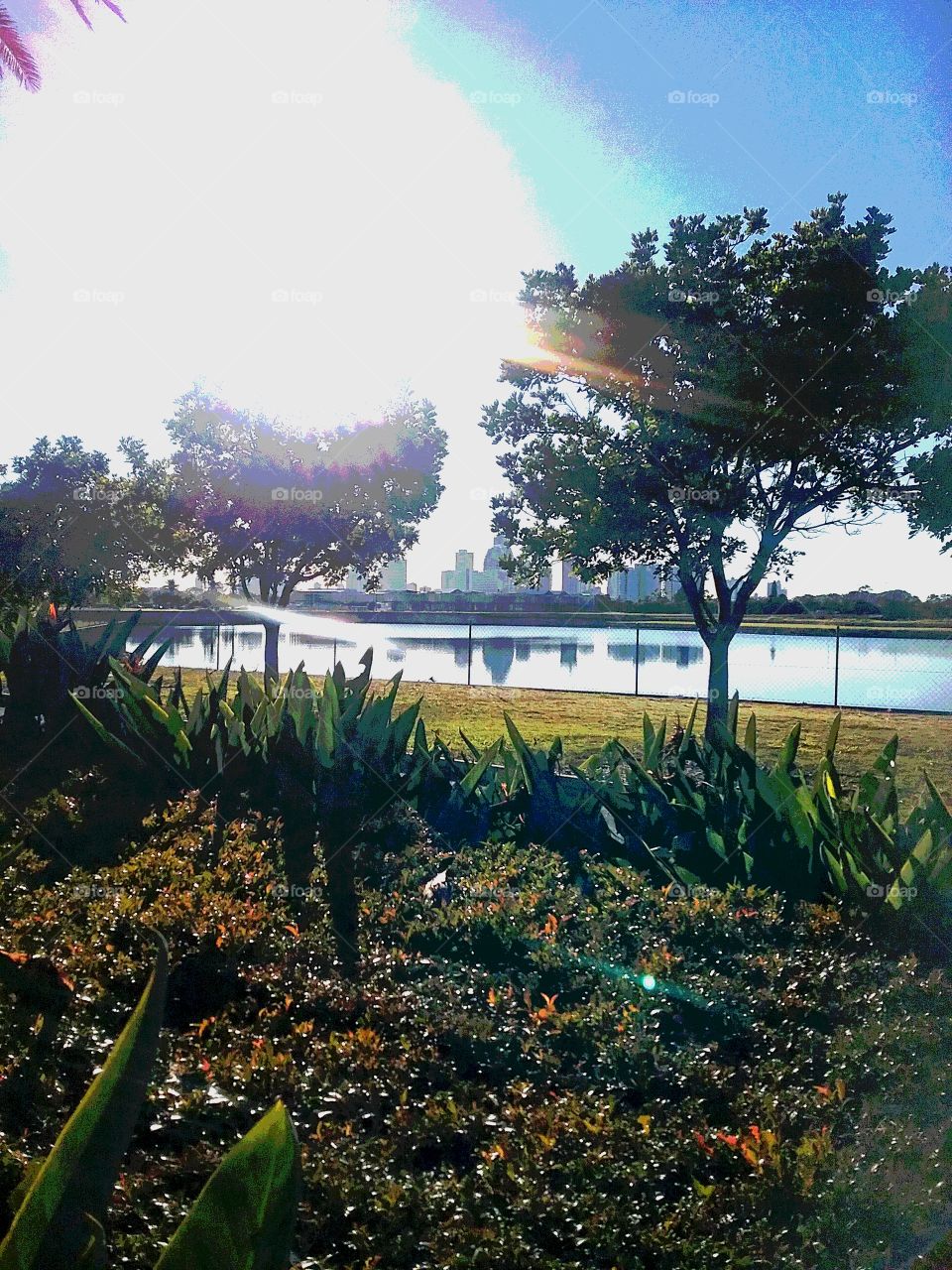 Gold Coast Park View