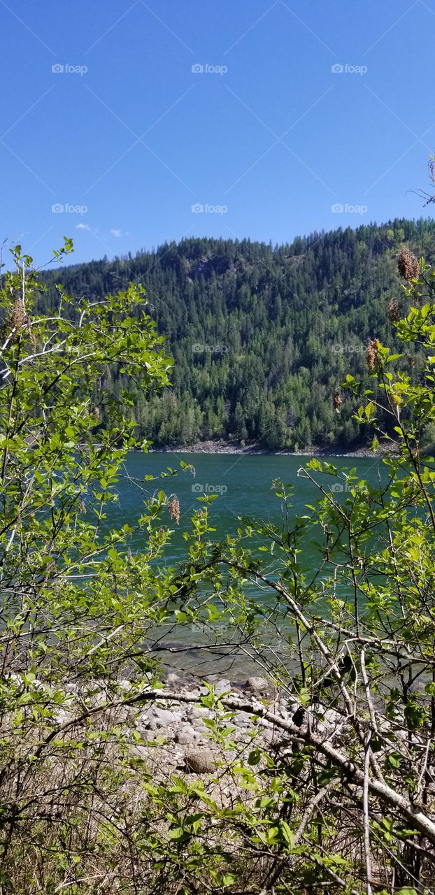 rocky shoreline view through green bushes of  lake and mountain ridge covered with green trees  under a sunny blue sky