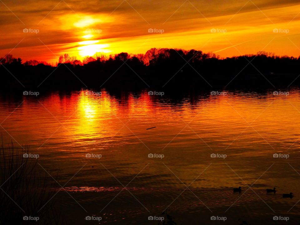 Beautiful lake at sunset in Indiana 