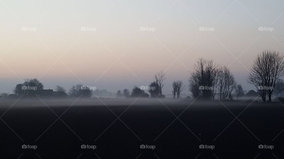 Fog in evening