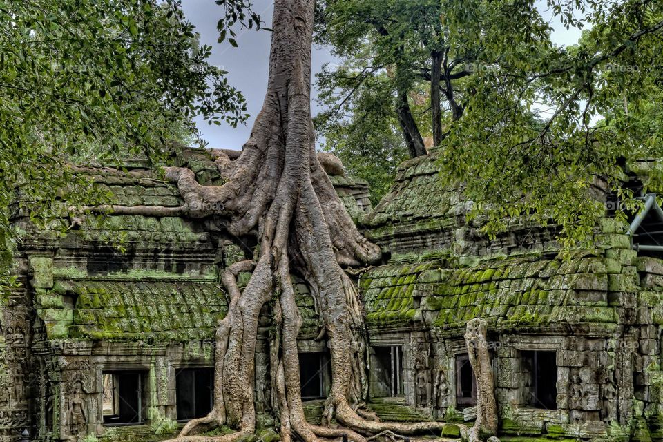 Angkor, in Cambodia's northern province of Siem Reap , is one of the most important archaeological sites of Southeast Asia.