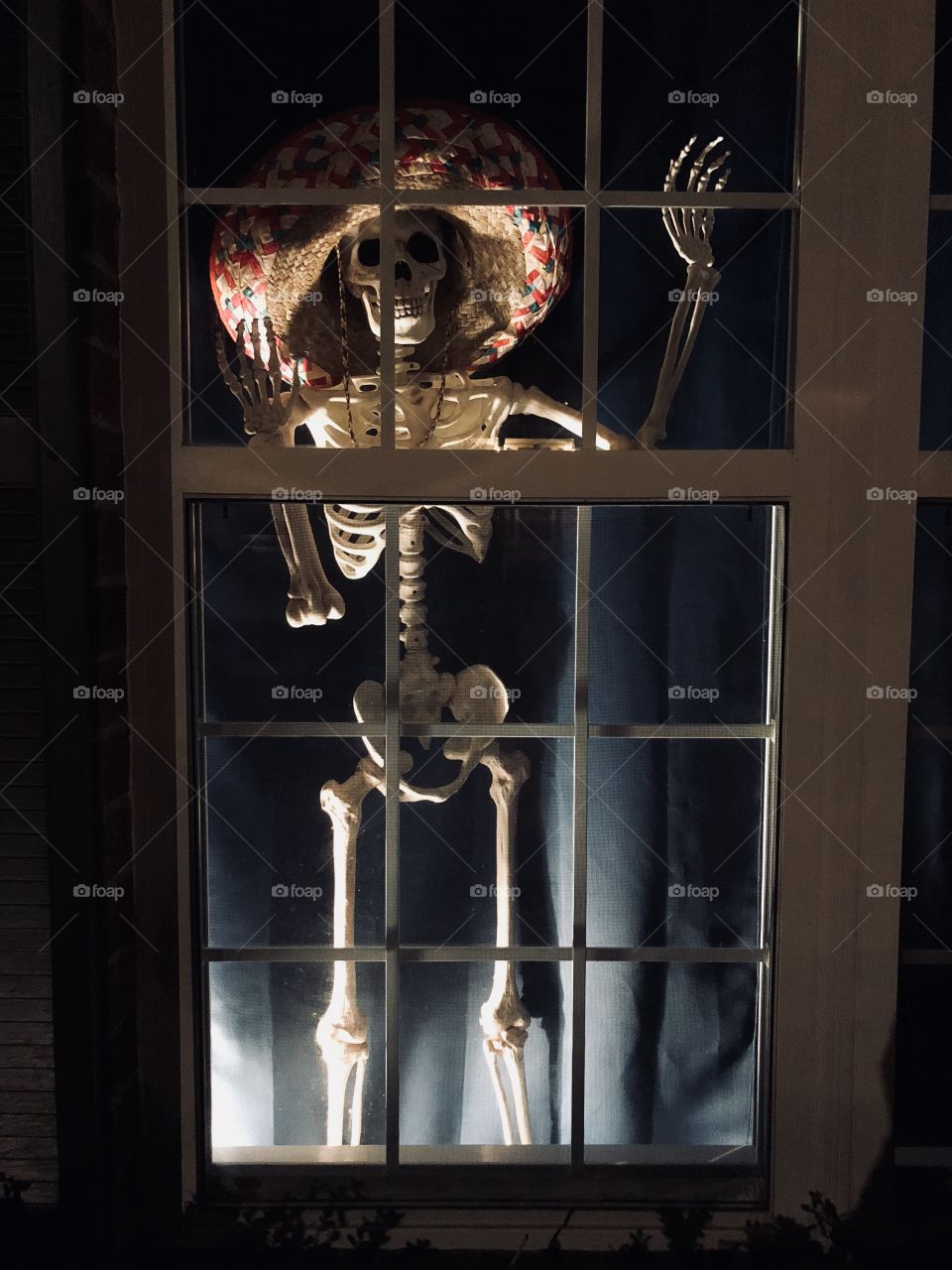 Skeleton in window