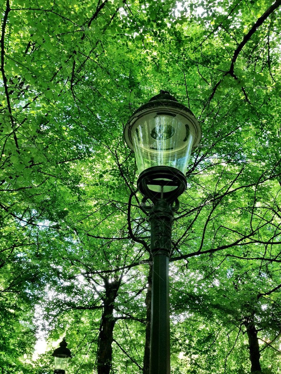 The beautiful lamp