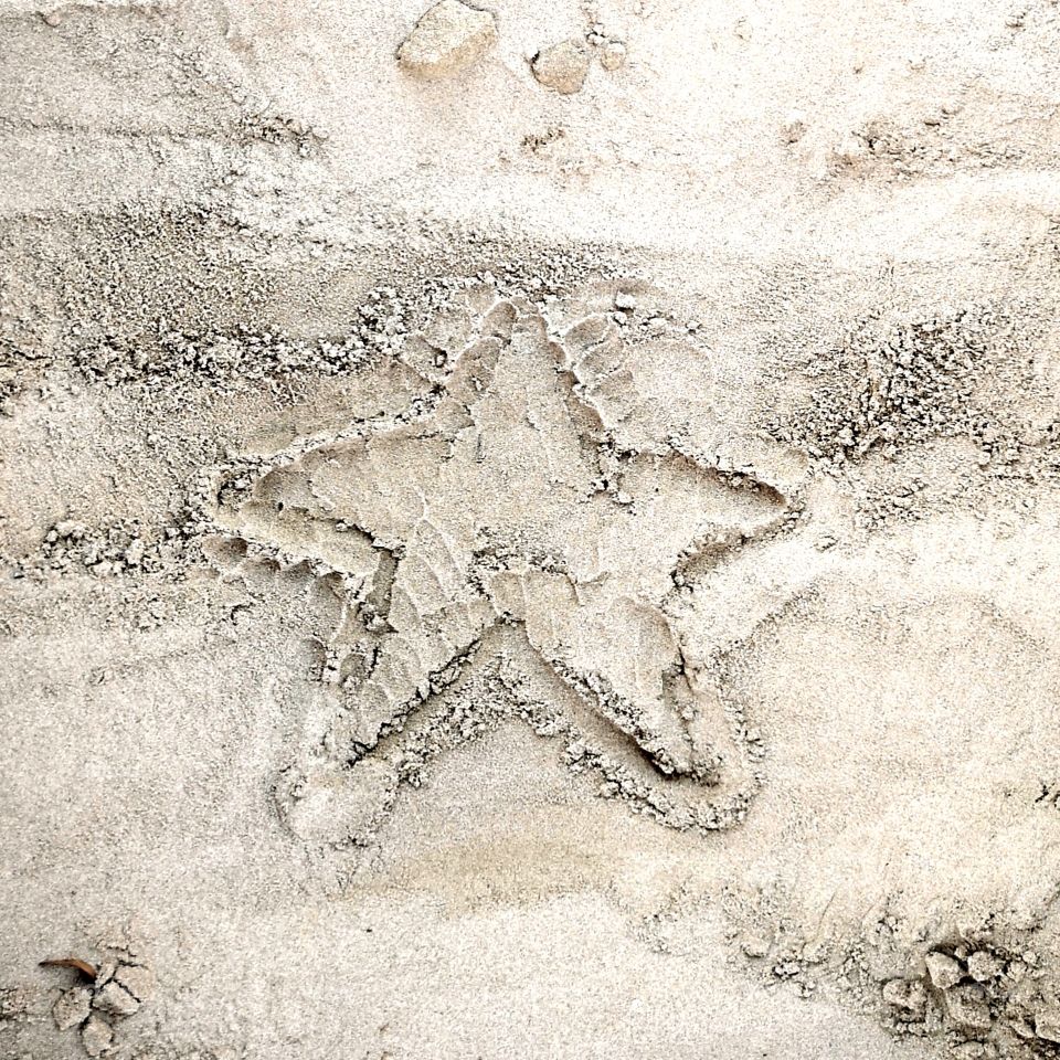 Star drawn on the sand