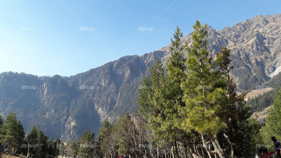 Hiking in the Himalayas