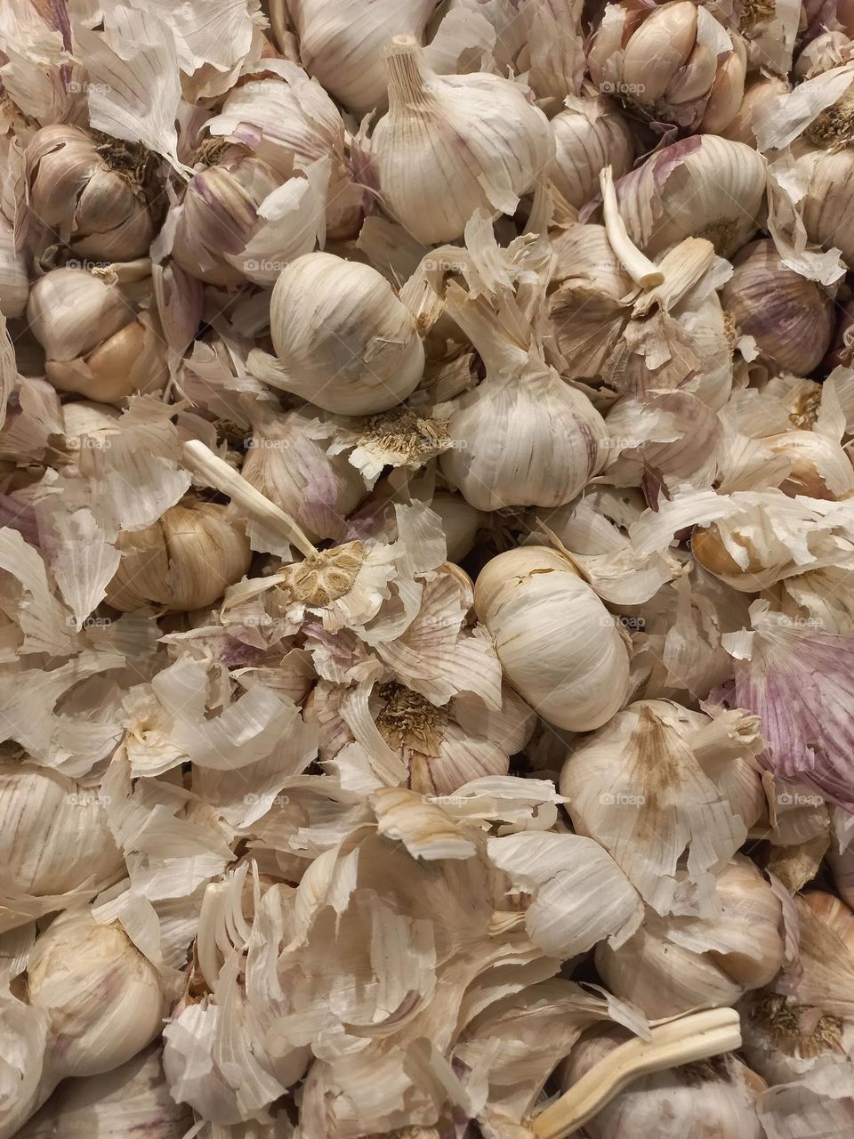 O alho é  fonte de vários compostos ativos , vitaminas, sais minerais  e , rico em inulina uma fibra benéfica para o bom funcionamento  do intestino.