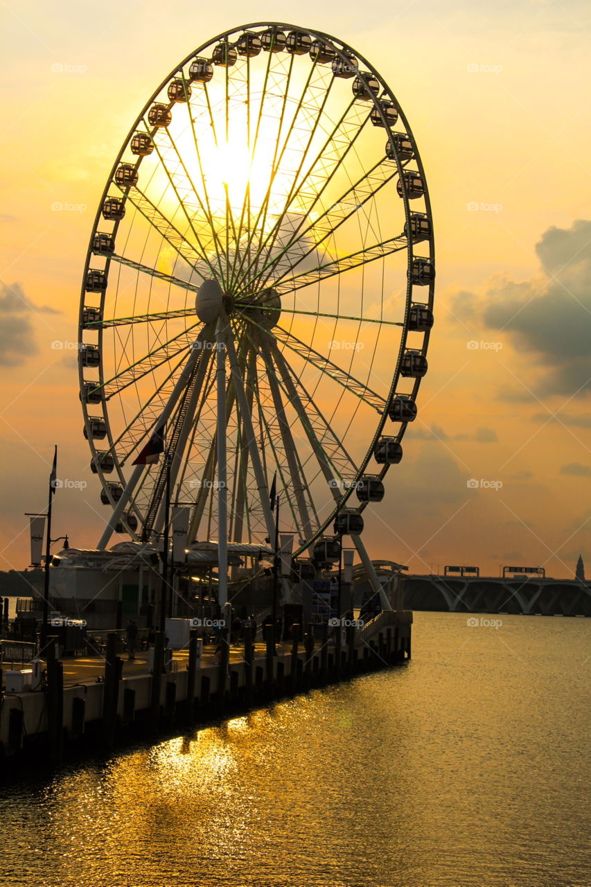 Ferris Wheel 