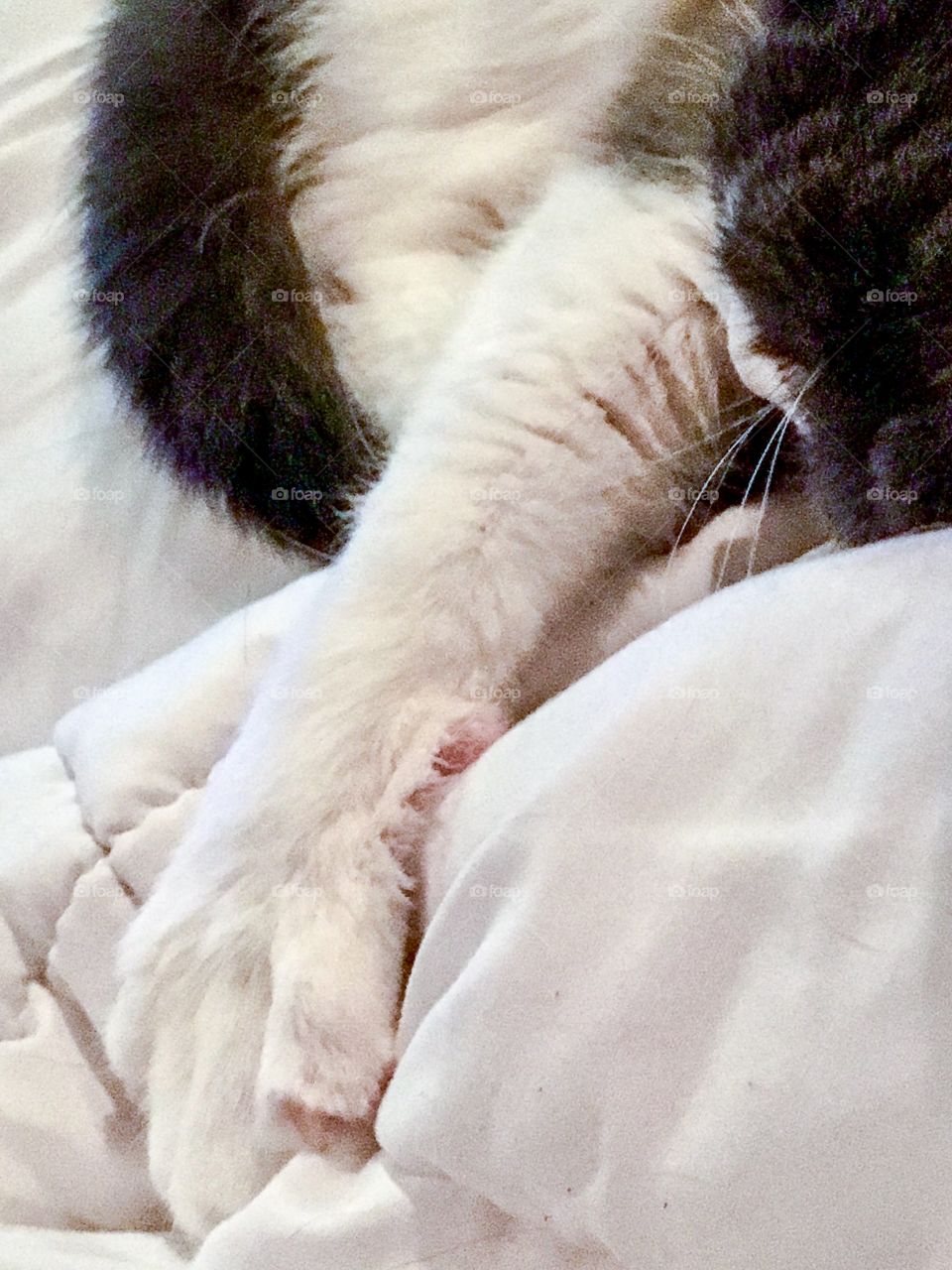 Not Letting Go, Love You